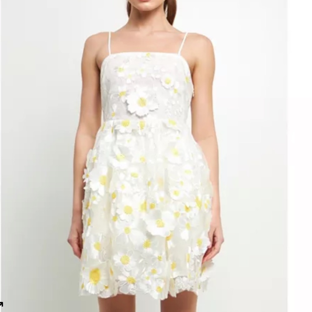 ENDLESS ROSE Women's Floral Embroidered Mini Dress